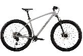 Велосипед горный Format 1212 d-29 1x10 (2026) XL Серый
