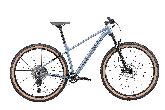 Велосипед горный Hagen 3.12 d-29 1x12 (2025) L серый, металлик